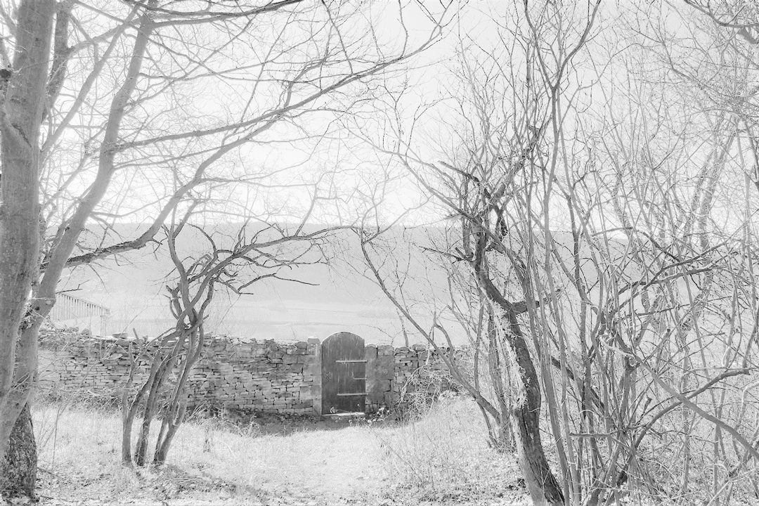 Vineyard House 1