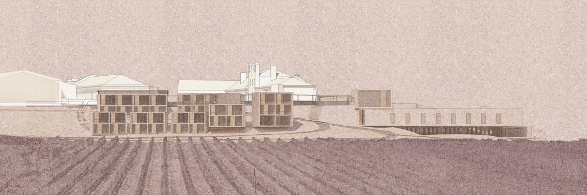 Winery Expansion 3